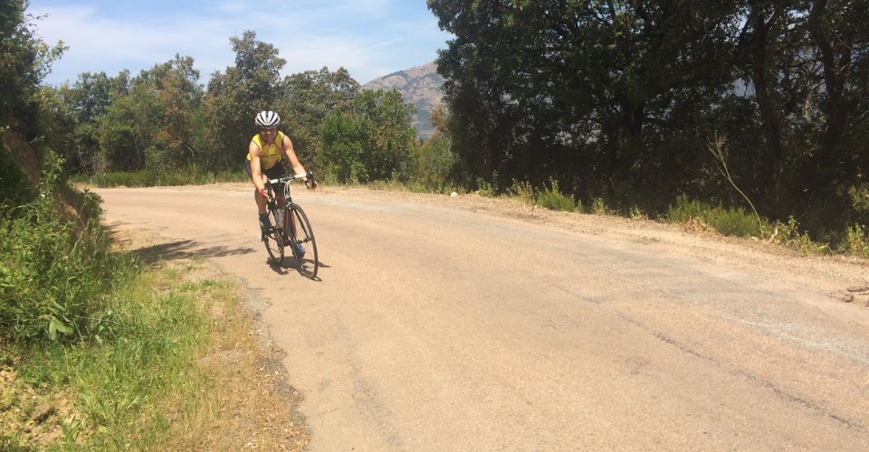 Il y a des œufs dans votre omelette ?