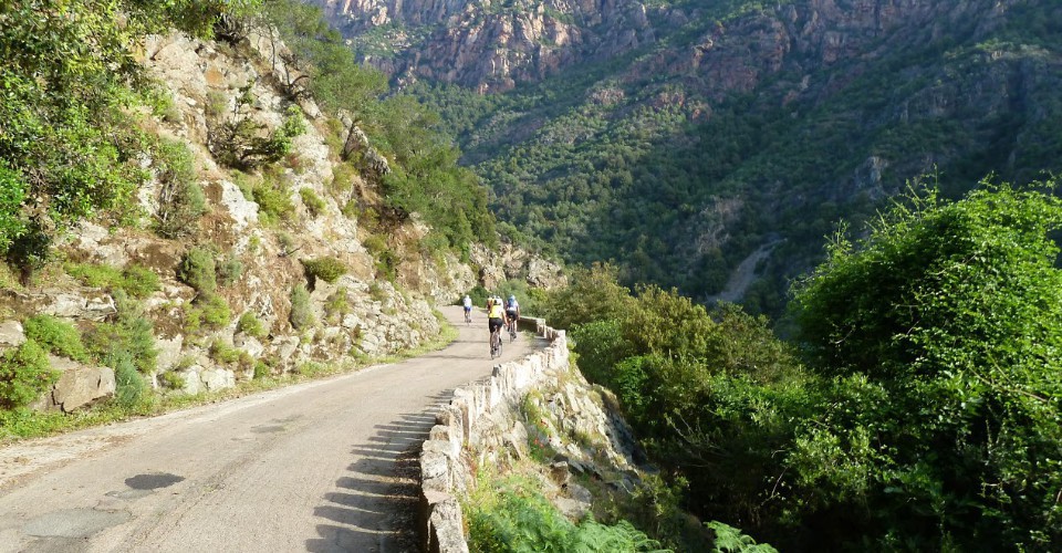 Vers les gorges de Spelunca