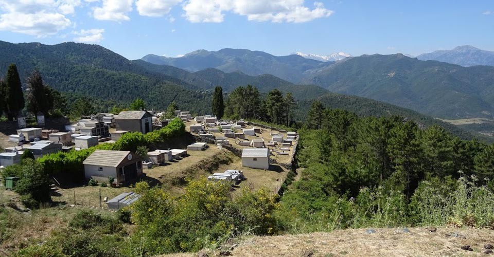 Les Corses reposent sur les hauteurs