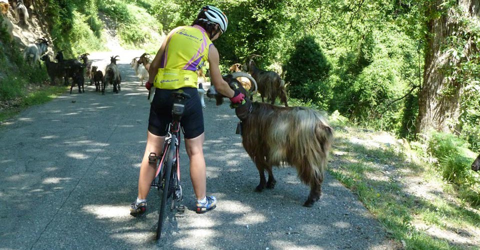 Moi c'est Valérie et toi ?
