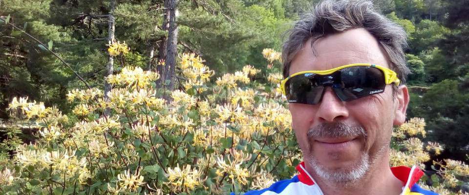 Oh le beau.... chèvrefeuille, mal rasé