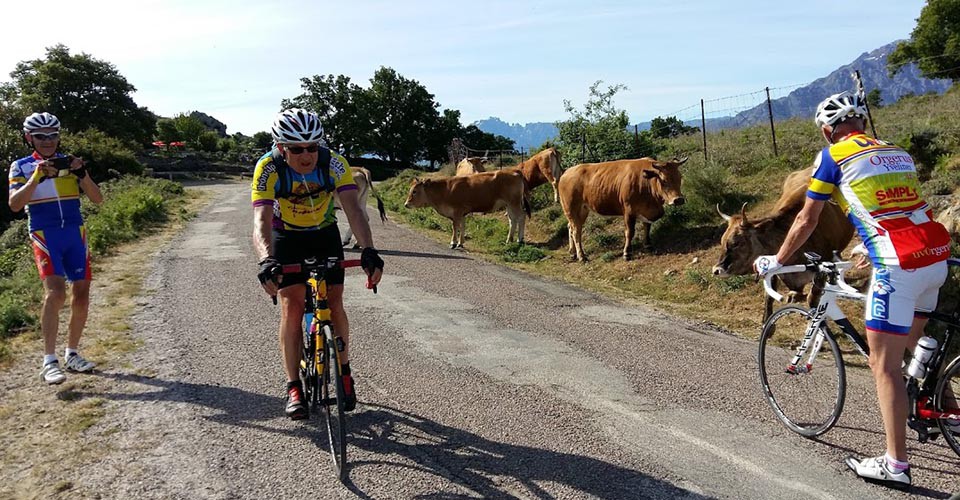 Ah la vache ! Si on s'attendait à ça...