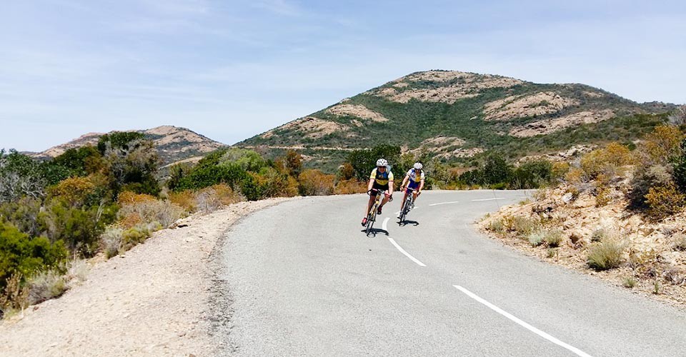 La rase végétation des bords de mer sculptée par un vent parfois impétueux