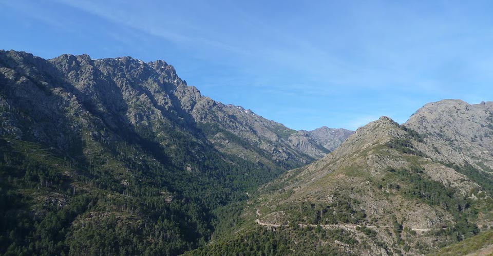 Cherchez bien la maison forestière !