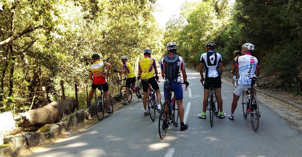 Une ressemblance avec la photo précédente ?