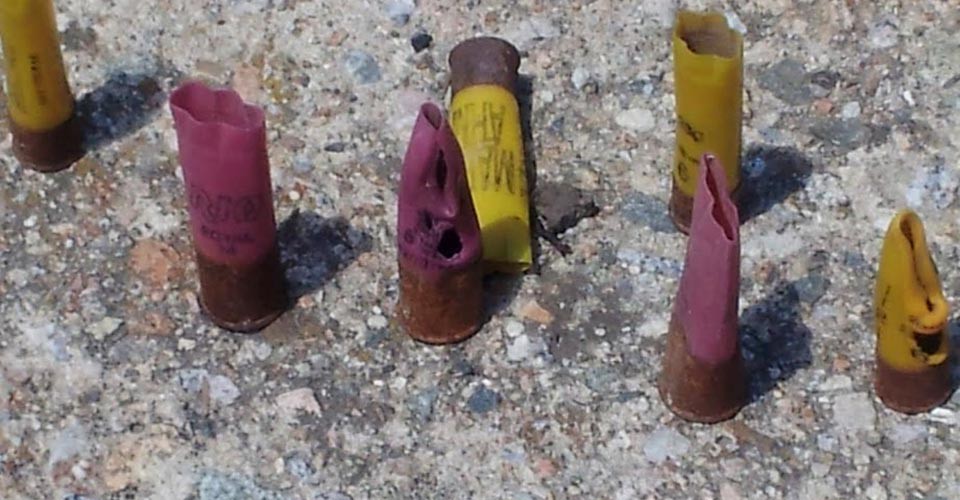 Les couleurs de l'ardéchoise ?