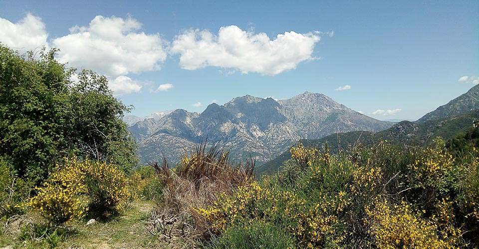 18 - Panorama au col de Scalella 1 191m