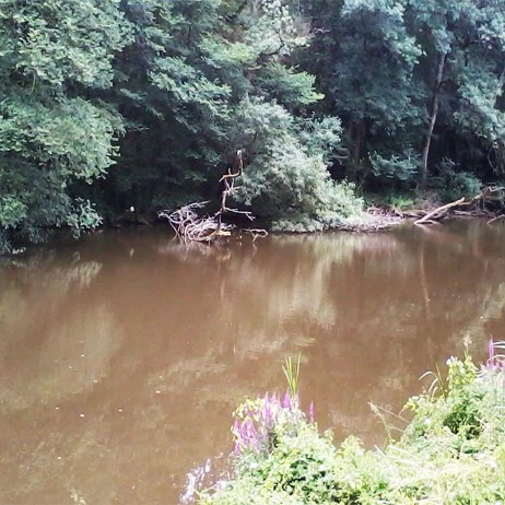 30 – Décor par endroit « pittoresque »