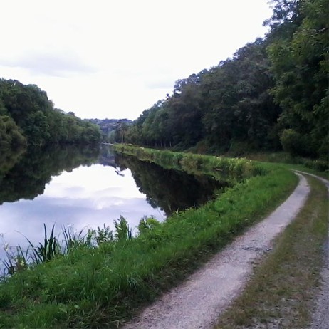 38 – C’est tout droit, dixit Miam miam