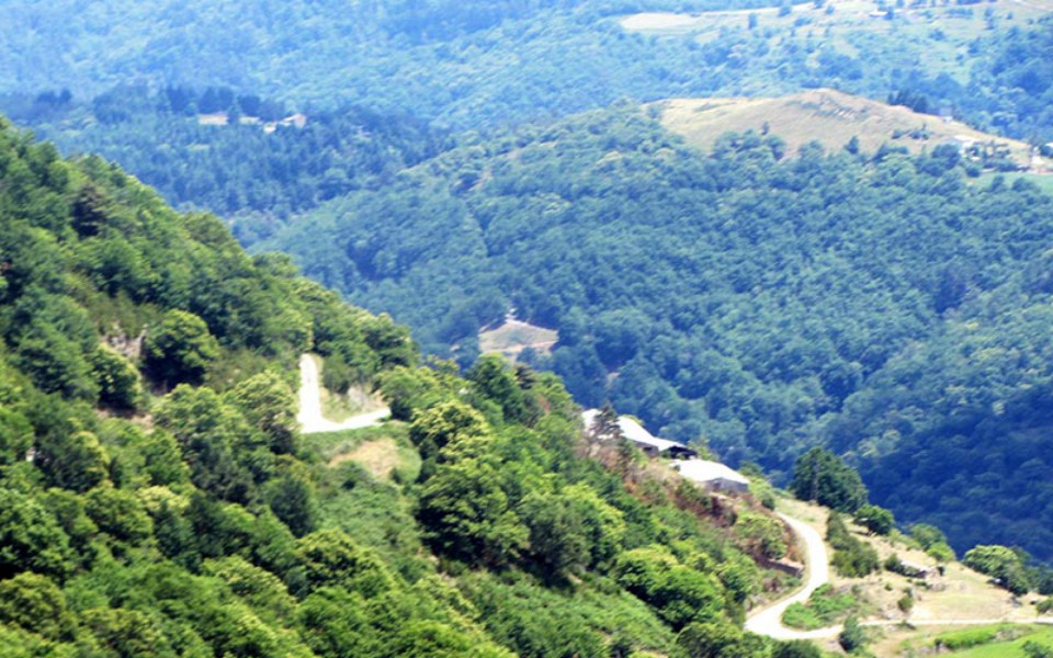 Vallée de l'Auzène