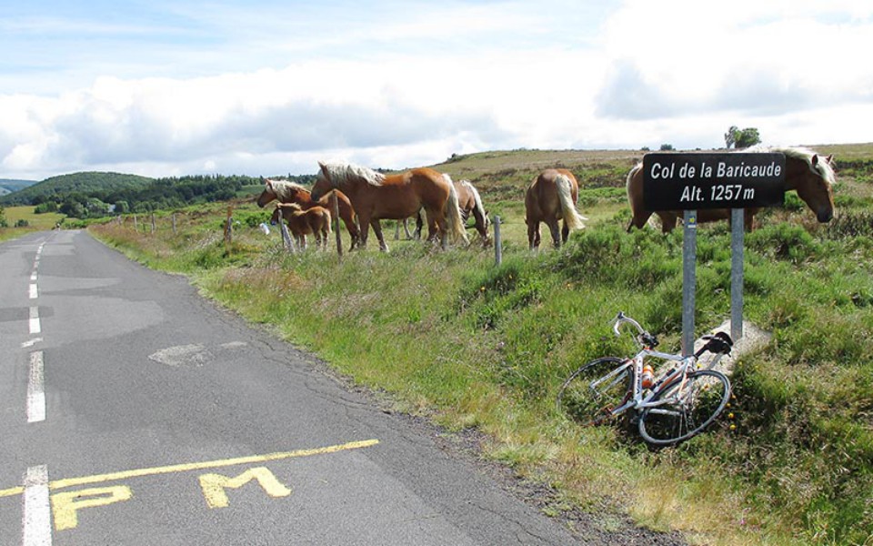 13 bornes, D+ = 716 m. Et du vent !